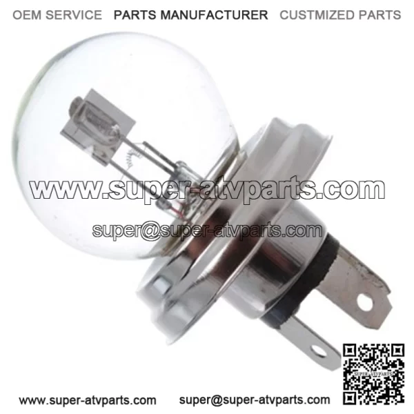 Bulb kawasaki KFX Praire KVF 650 700 92069-1114