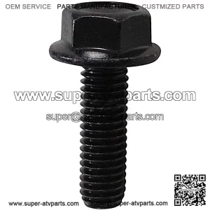 M8x25mm Screw SFA 1000