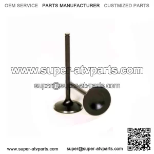 Exhaust Valve for 2015-2020 Honda TRX420FA5 FourTrax Rancher 4x4 wb (For: Honda)