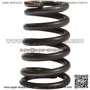 Valve Spring SFA 1000