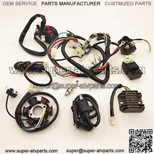 DSparts, Complete Electrics Stator Coil CDI Wiring Harness Wire Loom Assembly Fit for GY6 4-Stroke ATV QUAD Engine Type