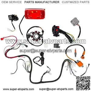Complete Electrics Wiring Harness 8 Stator Ignition Coil CDI Tail Light Compatible with 4 Stroke 150cc 200cc 250cc 300cc ATV Quad Dirt Bike