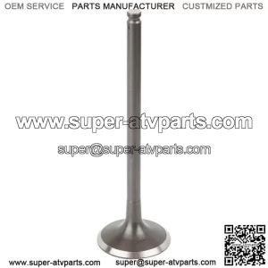 Exhaust Valve for Polaris RZR XP 1000 2014 2015 2016 2017 2018 2019 2020 (For: Polaris)