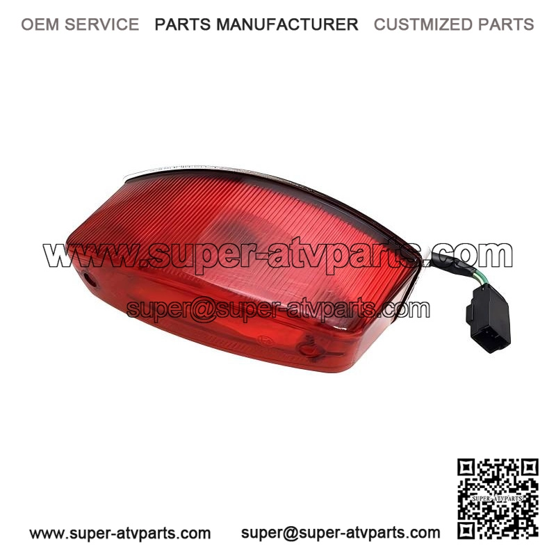 Tail Light Ass Y 710000760, OEM