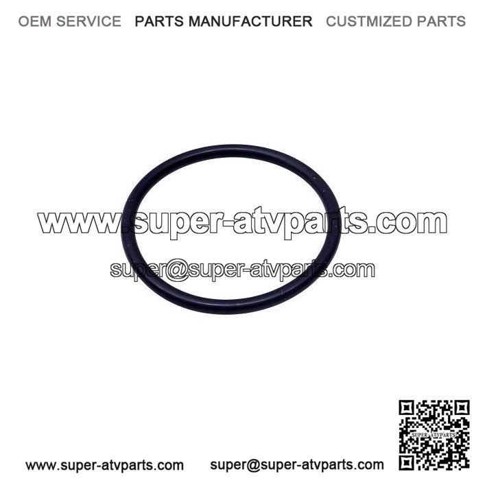 O-Ring 293300059