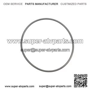 O-Ring 420831160, P420831160