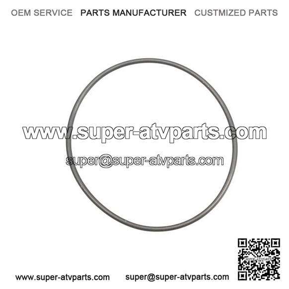 O-Ring 420831160, P420831160