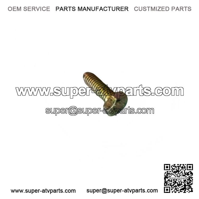 OEM Hex Screw 207161844 for 2001-07 Can-Am DS