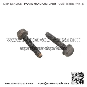 Hex Flange Screws M6x30 210263080