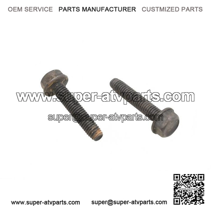 Hex Flange Screws M6x30 210263080