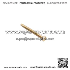 Hexagon Screw 250000008