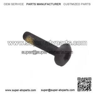 Torx Screw M5x25 250000300