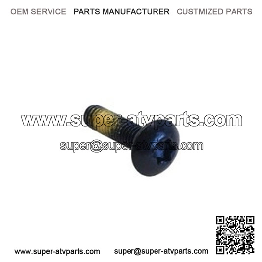 Truss Torx Screw 250000242