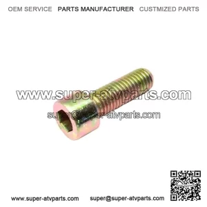 Socket Screw M10x30 205003044