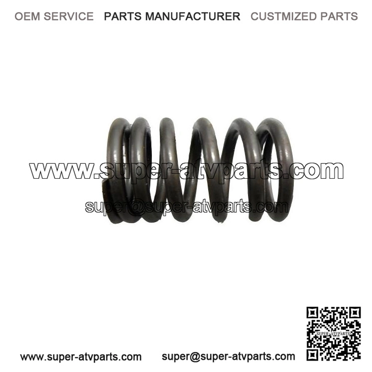 Valve Spring 420239360 Bombardier Rally 175